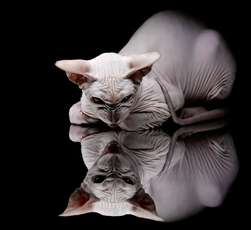 世俱杯2025全程直播-2025中国足球青训营峰会盛大举行，2020中国足球青训